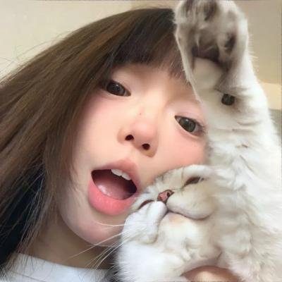 我的老婆是只猫